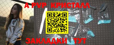СК Волгодонск