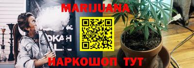 СК Волгодонск