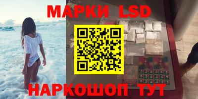 СК Волгодонск