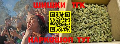 СК Волгодонск