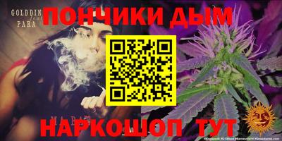СК Волгодонск