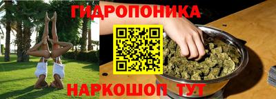 СК Волгодонск