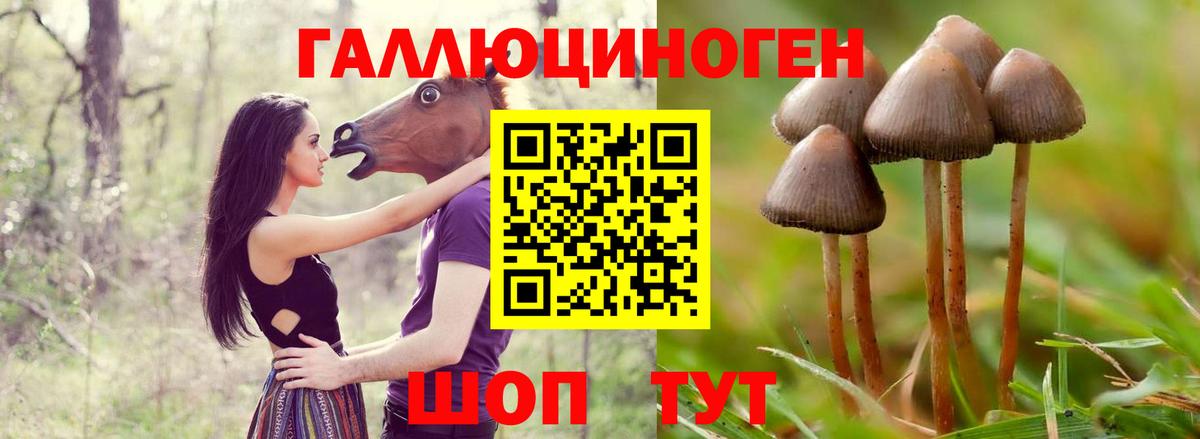 Красногорск  Галлюциногенные грибы MAGIC MUSHROOMS  Вход с VPN 