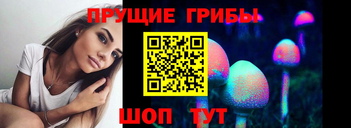 Псилоцибиновые грибы MAGIC MUSHROOMS Красногорск